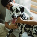 Young man indoors with a Dalmatian dog sitting on a bed, showcasing companionship.